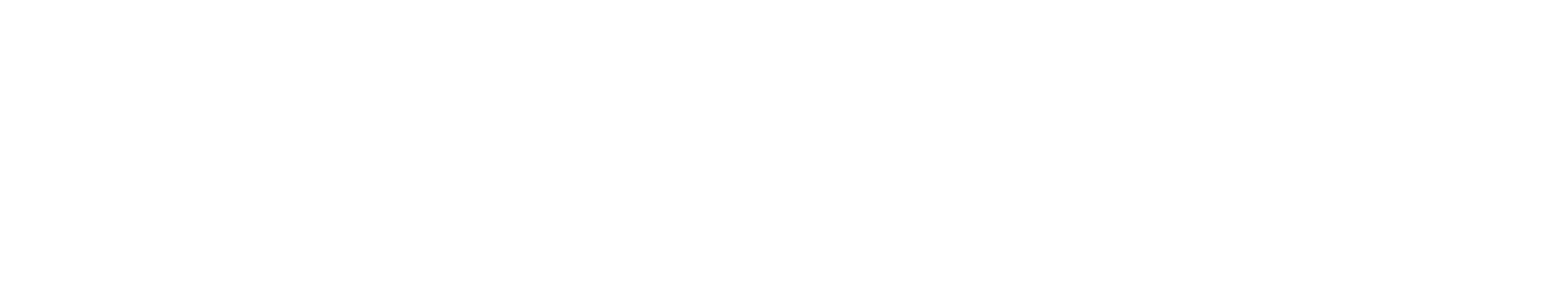 Leadership